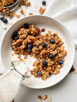homemade cereal in a bowl with milk and blueberries