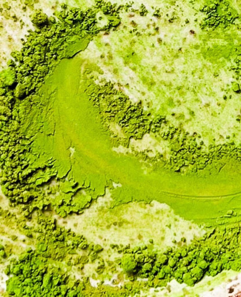 macro image of matcha powder