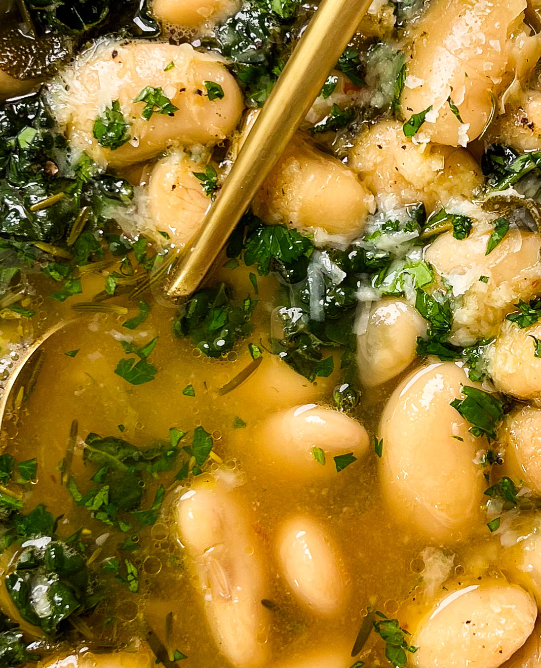macro image of brothy beans
