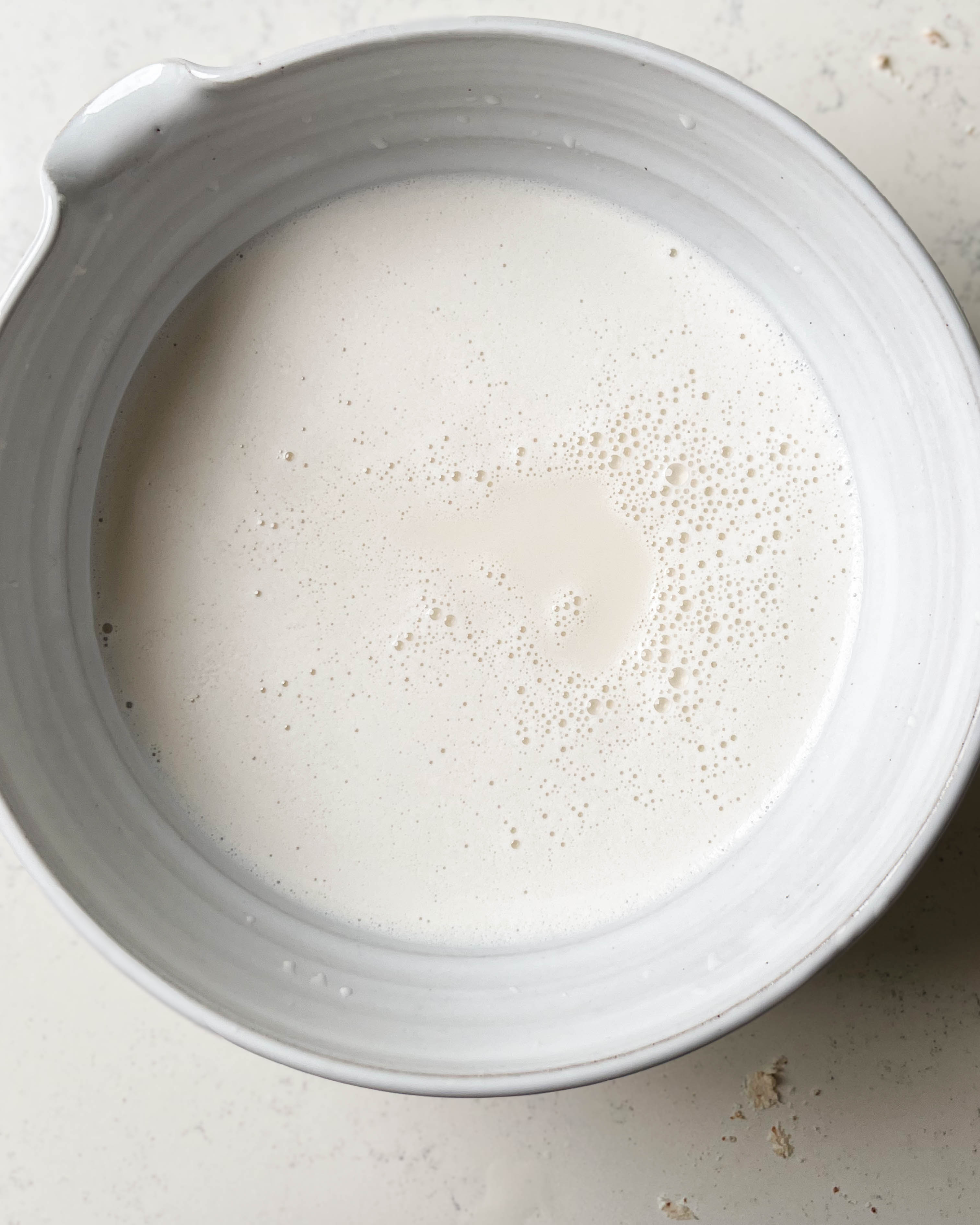 homemade nut milk in a bowl